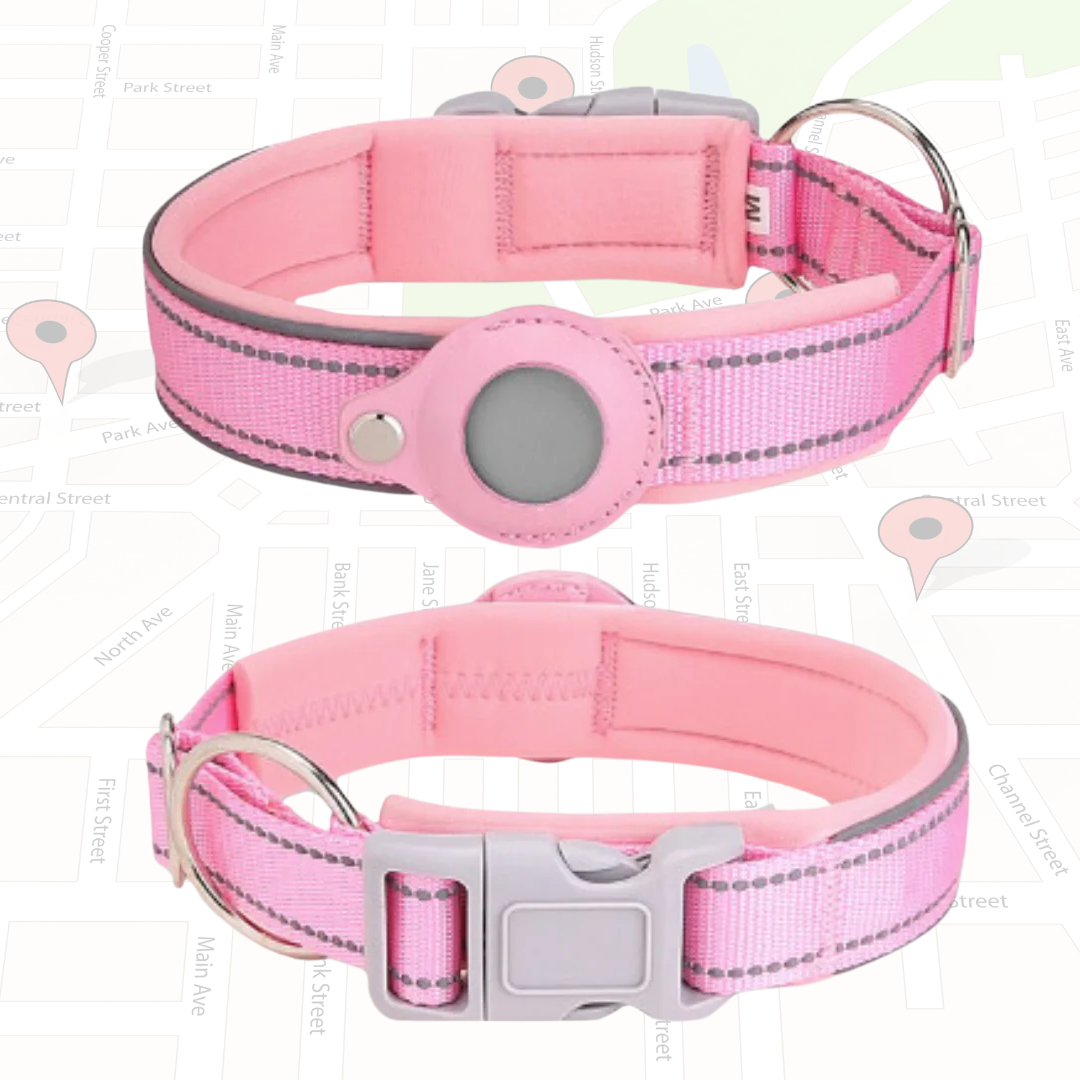 My Tag Tracker Pink Anti-Lost AirTag Dog Collar