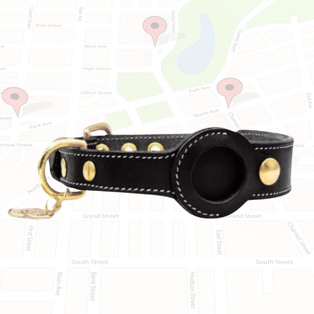 Luxury Leather Airtags Pet Collar for Dogs - Black