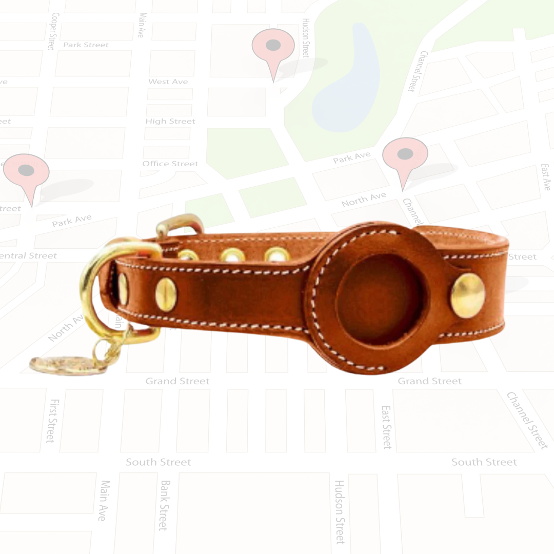 Luxury Leather Airtags Pet Collar for Stylish Tracking