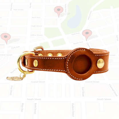 Luxury Leather Airtags Pet Collar for Stylish Tracking