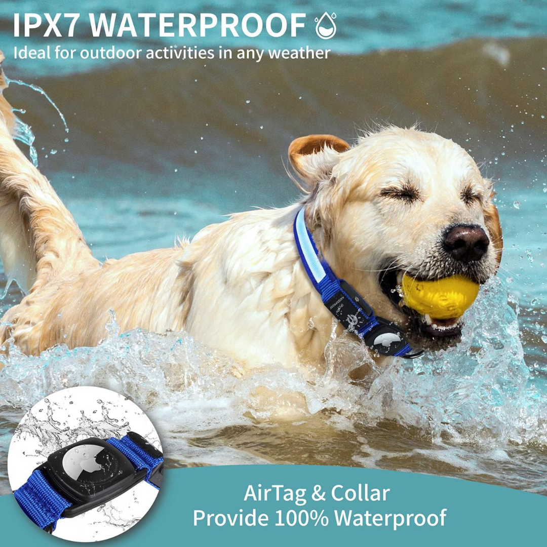My Tag Tracker LED Pet Collar Light - Blue with AirTag Integration