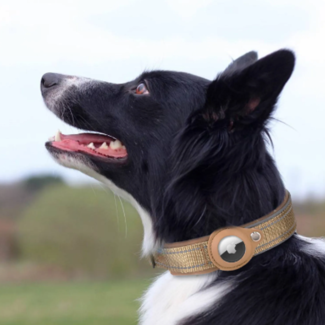 My Tag Tracker Blue Anti-Lost Airtag Pet Dog Collar